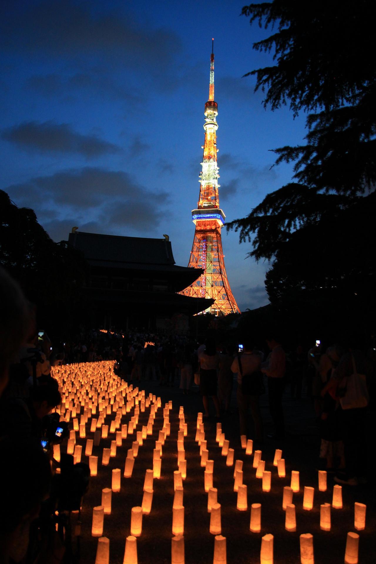 増上寺 和紙キャンドルの七夕物語 海岸風life