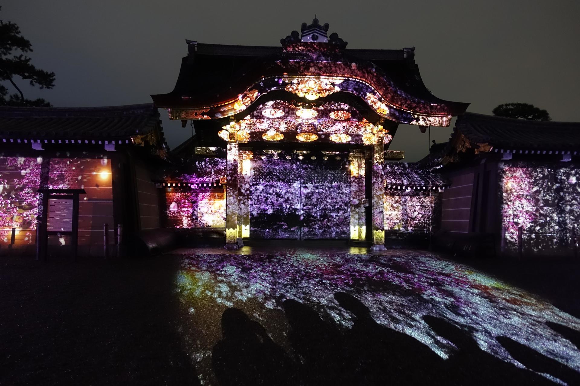 京都の桜17 二条城桜まつり ネイキッドによるライトアップ プロジェクションマッピング 海岸風life