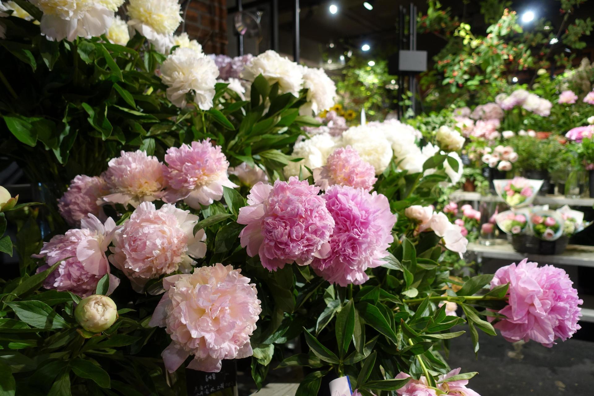 Flower Wine Night 大輪の芍薬と小粒な泡の微発泡ワイン 海岸風life