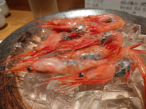 IMAG0836.jpg