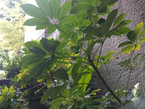 IMAG0928.jpg
