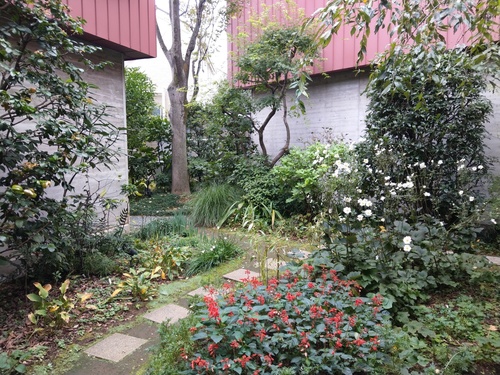 IMAG2276.jpg